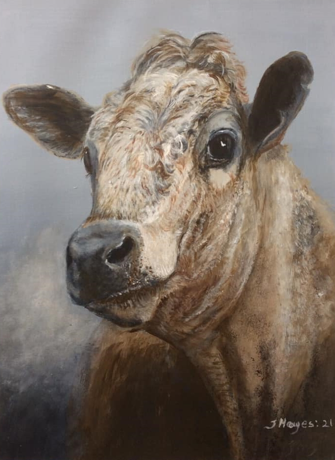 Bull by Joan Hayes