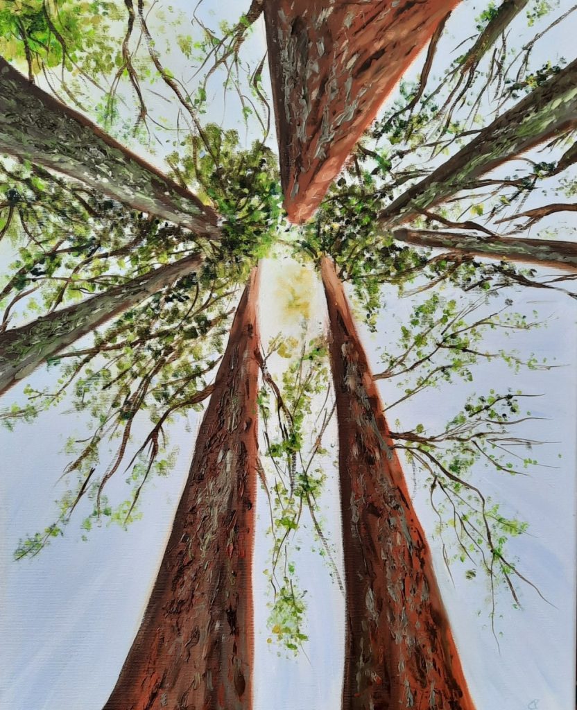 Tree canopy painting by Worcester artist Chris Phillips