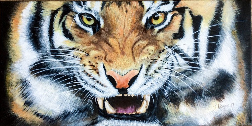 Tiger painting by Joan Hayes