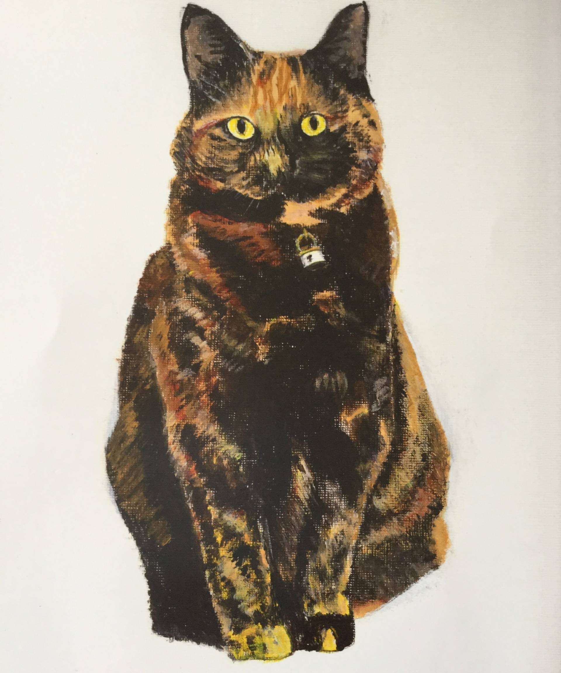 Cat by Derek Davis