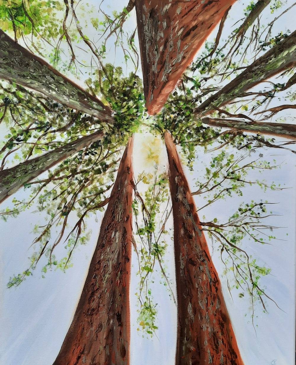 Tree canopy by Chris Phillips